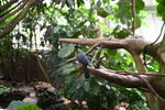 DSC_9045.JPG
